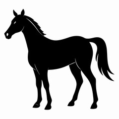 Wild Horse Silhouette Illustration
