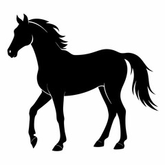 Wild Horse Silhouette Illustration