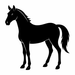 Wild Horse Silhouette Illustration