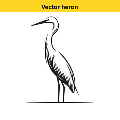 Fototapeta premium Vector Heron