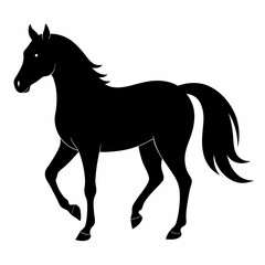 Wild Horse Silhouette Illustration
