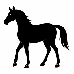 Wild Horse Silhouette Illustration