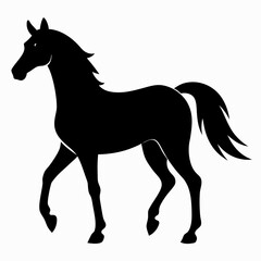 Wild Horse Silhouette Illustration
