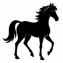 Wild Horse Silhouette Illustration