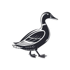 Isolated duck silhouette on white background (1) 