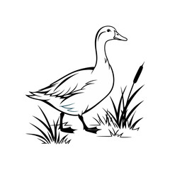 Obraz premium Isolated duck silhouette on white background
