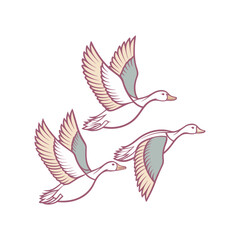 vector illustration of three flying-ducks (1) 