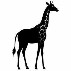 Wildlife Giraffe Silhouette Vector