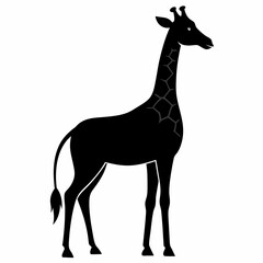 Wildlife Giraffe Silhouette Vector