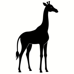 Wildlife Giraffe Silhouette Vector