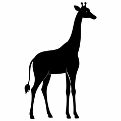 Wildlife Giraffe Silhouette Vector