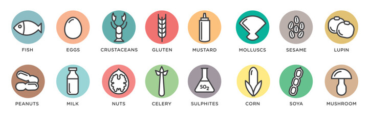 Food allergy icons. Basic allergens and diet line icons vector set. Isolated on white background