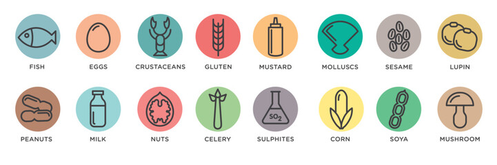 Food allergy icons. Basic allergens and diet line icons vector set. Isolated on white background