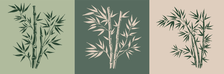 Naklejka premium Bamboo tree, Hand drawn style. 