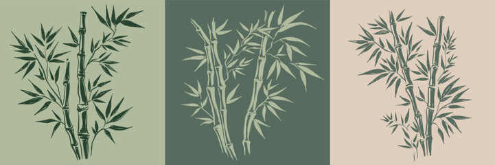 Bamboo tree, Hand drawn style. 
