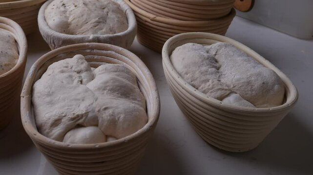 Raw Fresh artisan Sourdough bread dough ready to bake. 