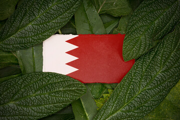 Leaves with the flag of Bahrain 3D Rendering