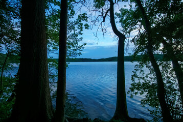 Obraz premium Twilight view of Caputher See framed by trees. Calm water, forest silhouettes, blue hour, peaceful reflection, untouched nature, outdoor landscape, tranquil lake scenery.