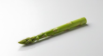 Single Spear of Fresh Green Asparagus on a White Surface