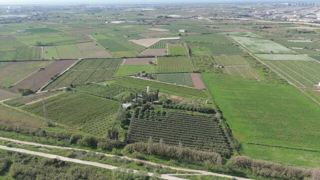 Aerial drone view captures a patchwork of diverse agricultural fields under bright sunlight. Shows tilled land, green crops, orchards, and rural structures.

