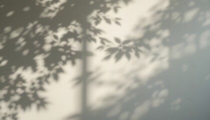 Captivating play of light and shadows indoor space photography natural environment close-up view conceptual art