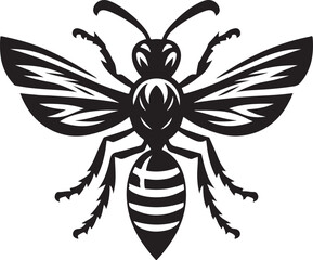 Wasp illustration