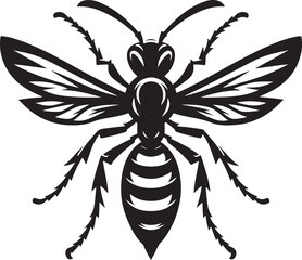 Wasp illustration