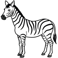 zebra cartoon vector illustration