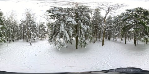 Winter full spherical hdri panorama 360 degrees angle view road in a snowy pinery forest with gray pale sky in equirectangular projection for unreal engine, blender, 3ds max