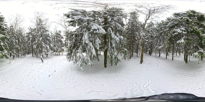 Winter full spherical hdri panorama 360 degrees angle view road in a snowy pinery forest with gray pale sky in equirectangular projection for unreal engine, blender, 3ds max