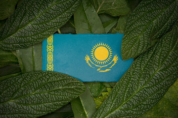 Leaves with the flag of Kazakhstan 3D Rendering