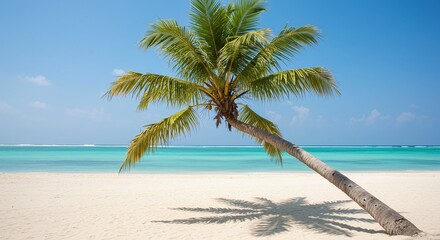 A solitary palm tree against a pristine beach and vibrant turquoise water under a bright, clear sky. It is a perfect scene that evokes feelings of peace and relaxation. 