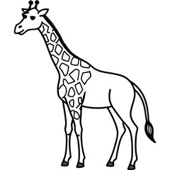 Let me know if you want it more playful, artistic, or technical!