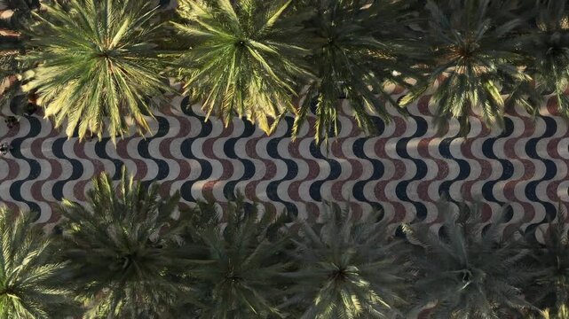 Esplanade Promenade. Alicante, Spain. Birds Eye Aerial View of Famous Pedestrian Walkway and Coastal Traffic.