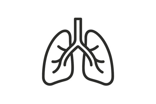 Detailed line vector icon of human lungs representing respiratory system and health awareness
