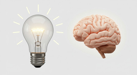 The brilliant spark of human ingenuity, a glowing lightbulb next to a detailed human brain, illuminating the power of ideas.