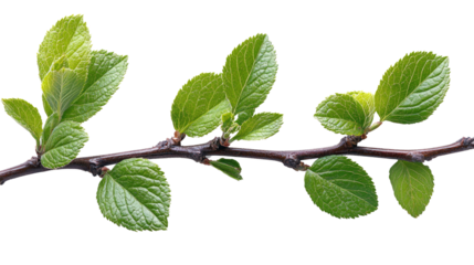 You've reached our limit of messages per hour Please try again later