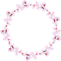 봄에 피는 분홍색 벗꽃