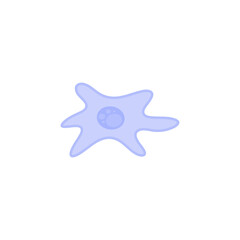 Simple structure of Human fibroblast cell