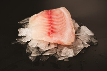 Fresh tilapia fillet on ice on black background