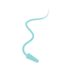 Human Sperm tail Anatomy