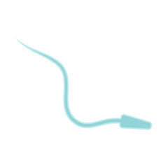 Human Sperm tail Anatomy