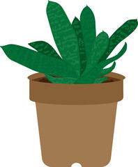 녹색잎을 가진 다육식물