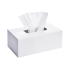 roll of toilet paper