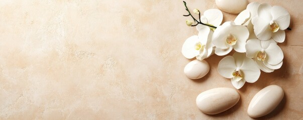 White orchids arranged with spa stones on a textured surface background
