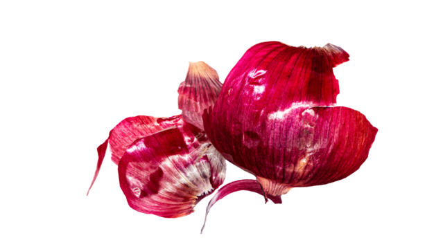 赤タマネギ　鮮やかな皮