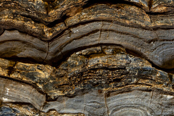Close-up of layered dolomite and domal stromatolites © Marieke