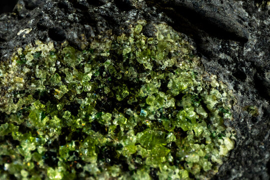Close-up of gem quality small vibrant green peridot crystals with a few dark Olivine crystal