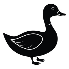 duck vector illustration