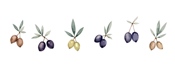 six watercolor illustrations of olives on branches